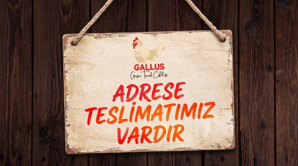 ADRESE TESLİMATIMIZ VARDIR - GALLUS Gezen Tavuk Çiftliği